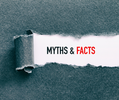 Tallow and Collagen Myths: What Really Works for Your Skin