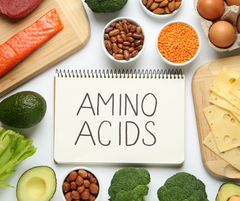 Amino Acids in Tallow vs. Collagen Supplements