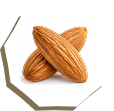 Sweet Almond Oil