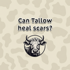 Can Tallow heal scars?