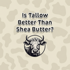 Is Tallow Better Than Shea Butter? Exploring Myths and Benefits