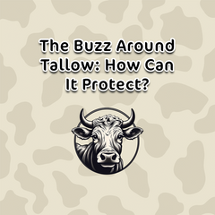 The Buzz Around Tallow: How Can It Protect?