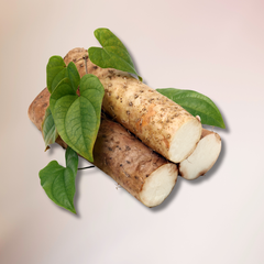 Wild Yam & Tallow: The Nourishing Duo Your Skin Has Been Waiting For