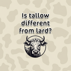 Is tallow different from lard?