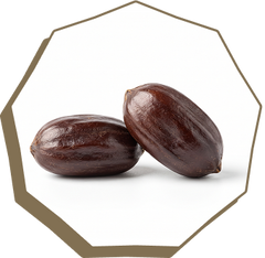 Jojoba Oil