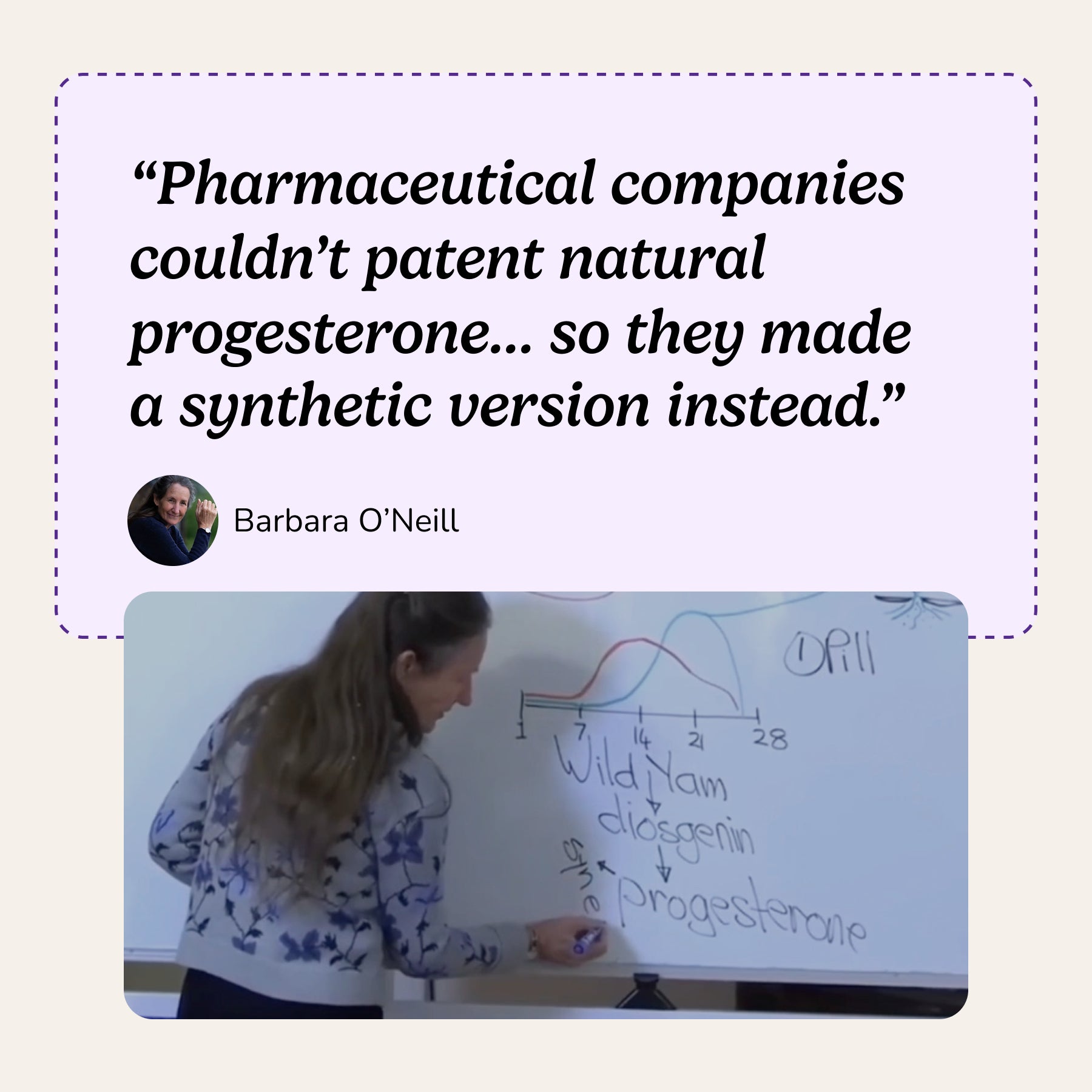 Tallow & Wild Yam Cream